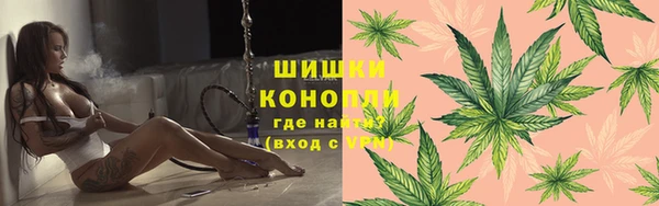 индика Волосово
