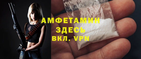 индика Волосово