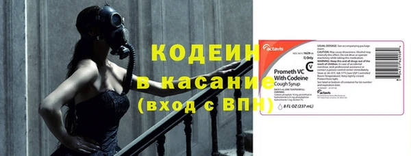 индика Волосово