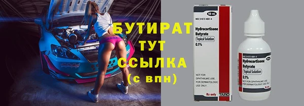 индика Волосово