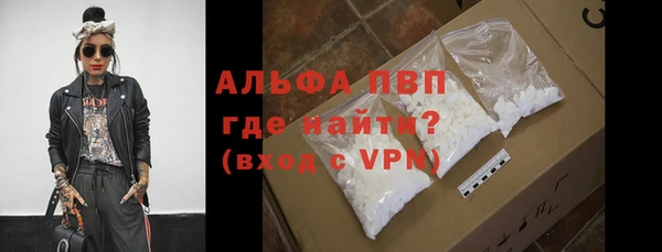 индика Волосово