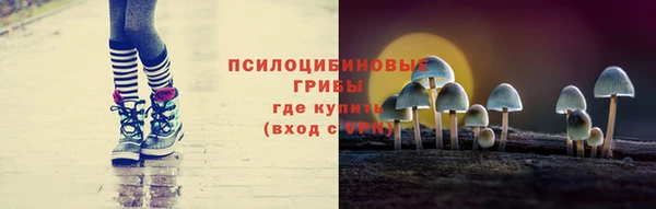 индика Волосово