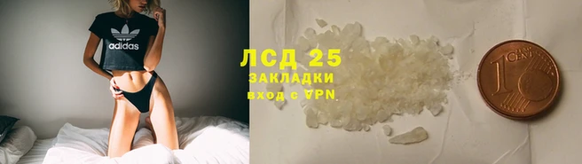 индика Волосово