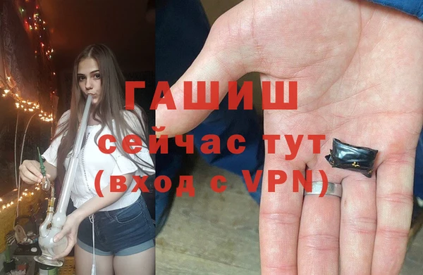 индика Волосово