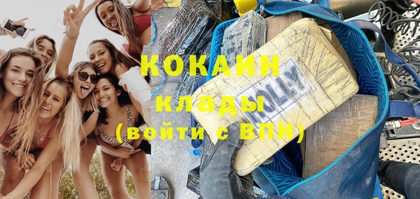 индика Волосово