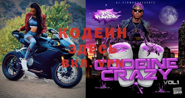 индика Волосово