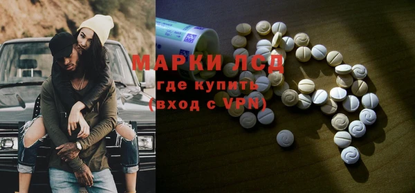 индика Волосово