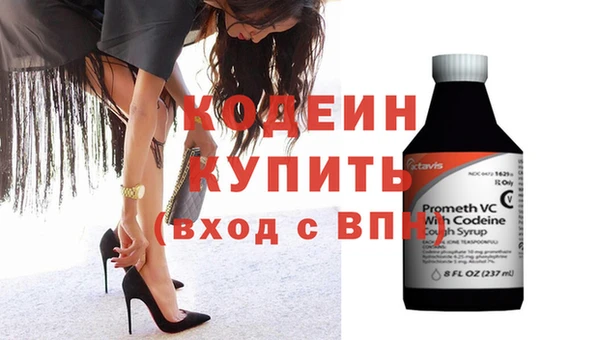 индика Волосово