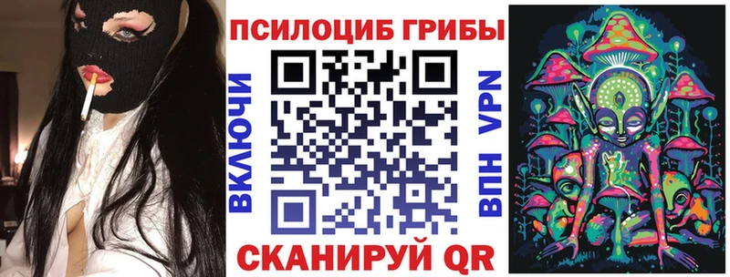 Псилоцибиновые грибы GOLDEN TEACHER  магазин продажи наркотиков  ссылка на мегу сайт  Черкесск 